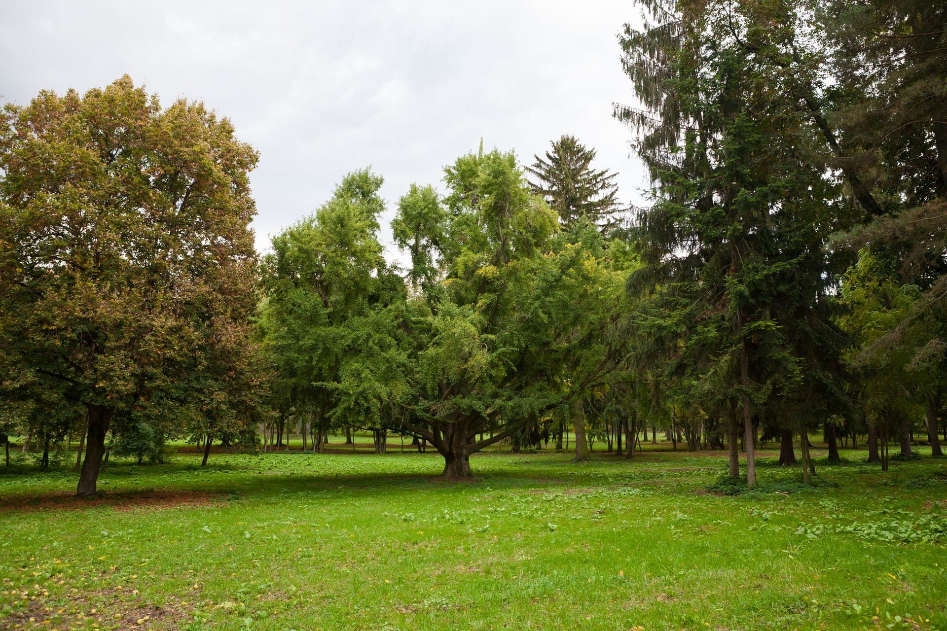 Chránený anglický park